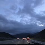 House Sitter Looking For Being Hired