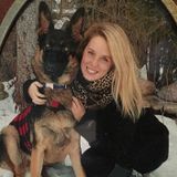 Looking for pet sitting jobs