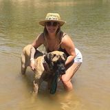 Passionate Pet Sitting Professional in Fenton, MO