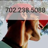 Reliable Pet Sitter Needed Immediately