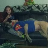 Channahon Pet Sitter Available For Work