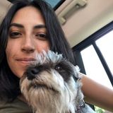 Capable Dog Sitter in New York City