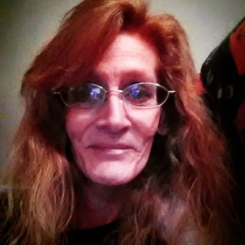 Pet Care Provider Lynn C's Profile Picture
