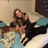 Experienced Animal Care Professional Seeking New Clients