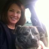 PEACE OF MIND while you are away. Resposible House and Petsitter in Murphy & Cherokee County.