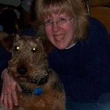 Pet Sitter/Dog Walker in St. Joseph, IL