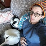 True animal lover! I have 4 cats, though dogs absolutely melt my heart. I would gladly care for yours while you're away!