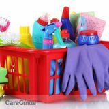 25 off Precise Professional Cleaning Service