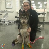 Experienced, caring pet sitter!