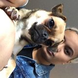 Active pet sitter