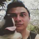 Hey I'm a dog lover, I can take care of yours as if it were mine