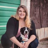 Interested In a Dog Walker Job in Pikesville, Maryland