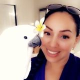 Seeking Houston Dog Sitter, Texas Jobs