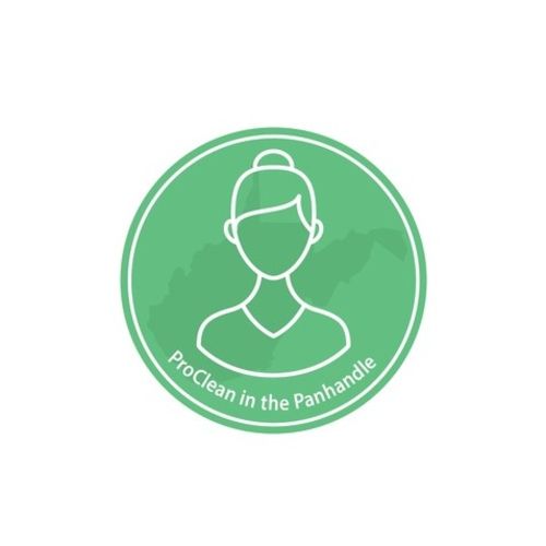 Housekeeper Provider ProClean P's Profile Picture