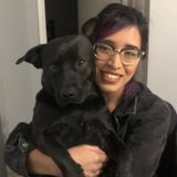 Honest dog Sitter in Downey