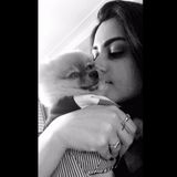 Searching for a Petsitter Opportunity in Boca Raton