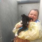 Energetic and Enthusiastic Dog Walker and Petsitter Available