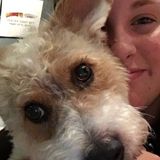 Not to brag or anything, but I'm kind of a big deal to my dog.