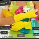 Professional Cleaning