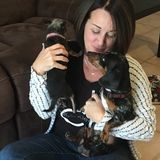 Wonderful Animal Caregiver in Apopka and Altamonte Springs!