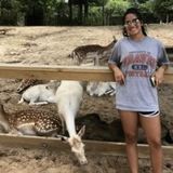 Animal lover and will treat your furry friends like one of my own.