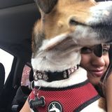 Ready to care for your pets!