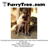 Professional, Trusted, Punctual, Responsible, & Loving Pet Sitter
