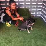 Hi, Im crystalbell. I love pets and live a flexible lifestyle