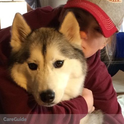 Pet Care Provider Alyssa B's Profile Picture