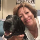 Available For Corpus Christi House Pet and Plant Sitter Jobs