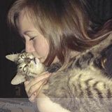 Pet Sitting & Grooming
