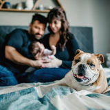 Confident , organized, and energetic nanny/mothers helper needed asap
