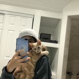 Pet Sitter/Walker/Feeder/Etc