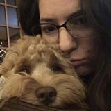 My name is Cara and I'm seeking to pet sit (either dogs or cats) in the St. Augustine area! I love animals and being outdoors