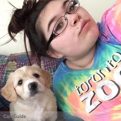 Pet Care Provider Brenna S's Profile Picture