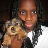 Dog Waking And Pet Sitting (Any Animal)