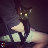 Long Term Cat Care