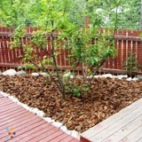 House keeping and yard work services