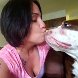 Established Pet Sitter Searching for Job Opportunities in the Chicago Area!