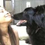 hi my name is ivonne Im from Mexico, I love animals so much that me and my family we open a pet store