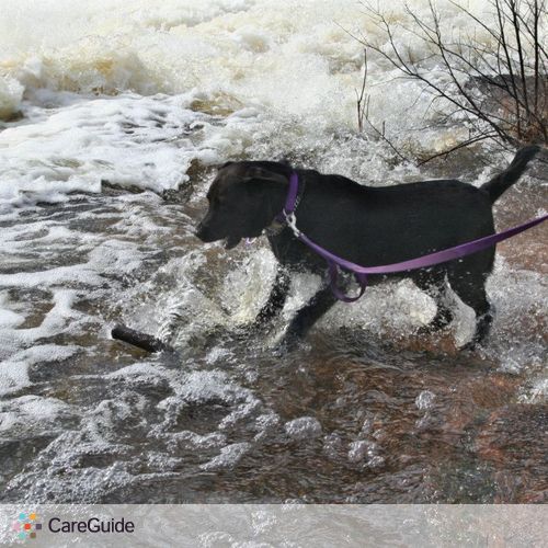 Pet Care Job Yvonne Allen's Profile Picture
