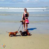 Awesome Dog Walker and Sitter Available!