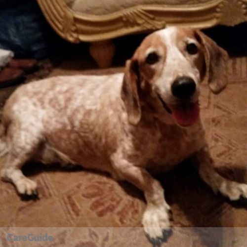 Pet Care Provider Jade G's Profile Picture
