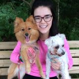 Hi my name is Victoria Stewart, and the services that I can provide are dog walking, drop in visits and overnight care.
