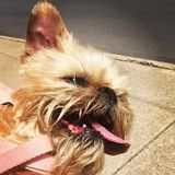 In a rush to get away? Bridget Rush is ready to care for your pets!