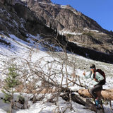 Dedicated House Sitter in Aspen