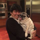 Charlotte area Housesitter Available - Pet and Plant Lover