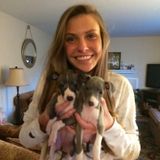 Trustworthy, loving, & responsible Pet Service Provider Available