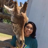 I just want to hang out with your pet (: