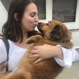 House sitter willing to travel!